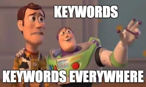 Woody and Buzz "Keywords, Keywords Everywhere" meme