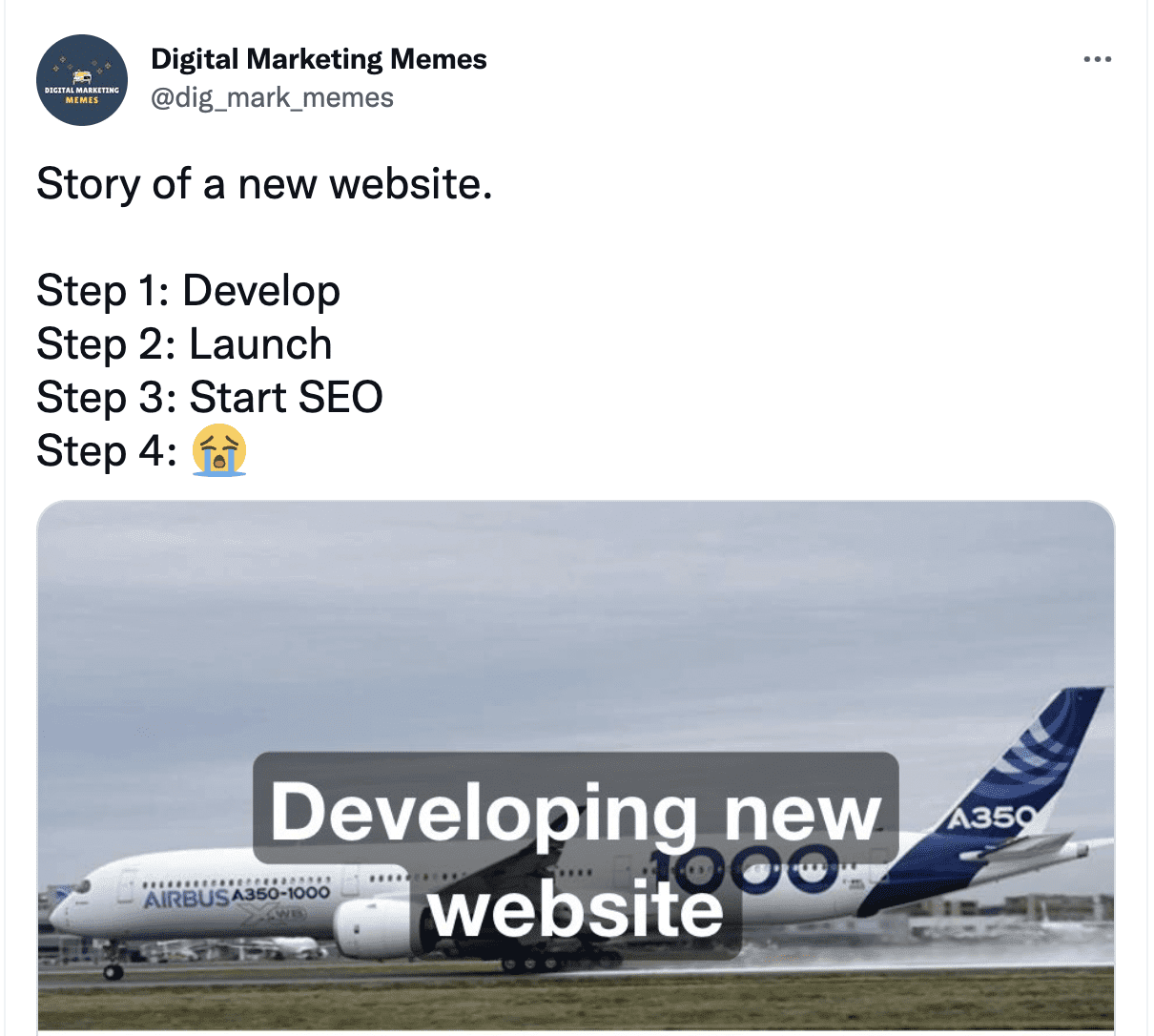 "Story of a new website" SEO meme