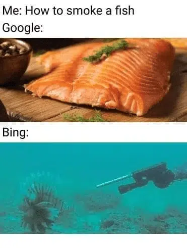 Fish SEO meme