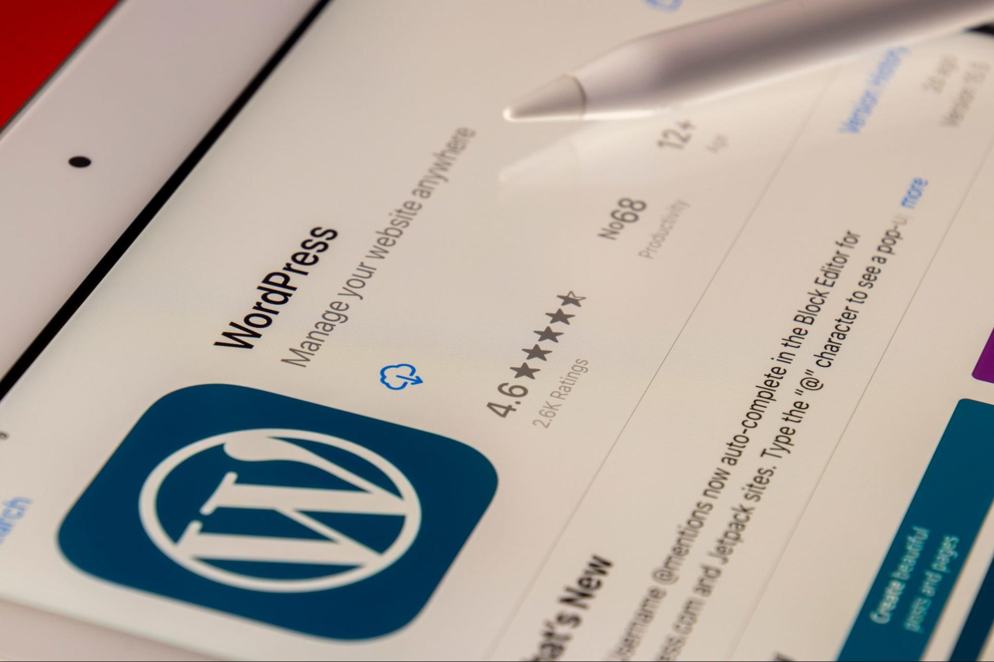 WordPress CMS icon