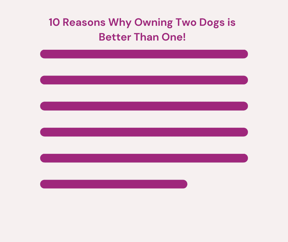 "10 Reasons Why Owning Two Dogs is Better Than One" blog post headline example