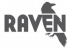 Raven Tools SEO Software logo